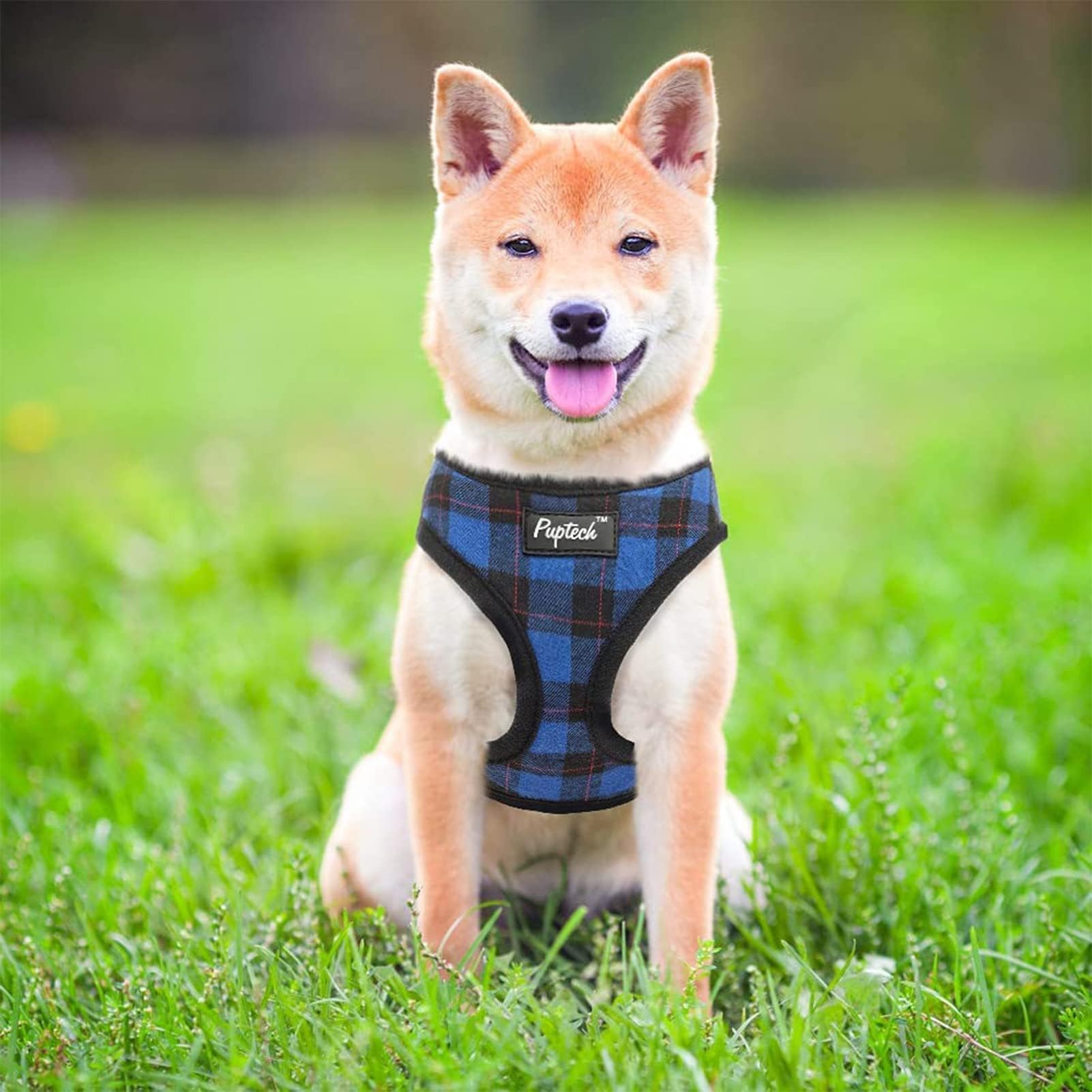 PUPTECK easy-on-off buckle for quick fitting