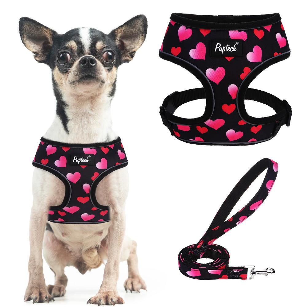 PUPTECK soft mesh harness puppy front view for comfortable daily walks