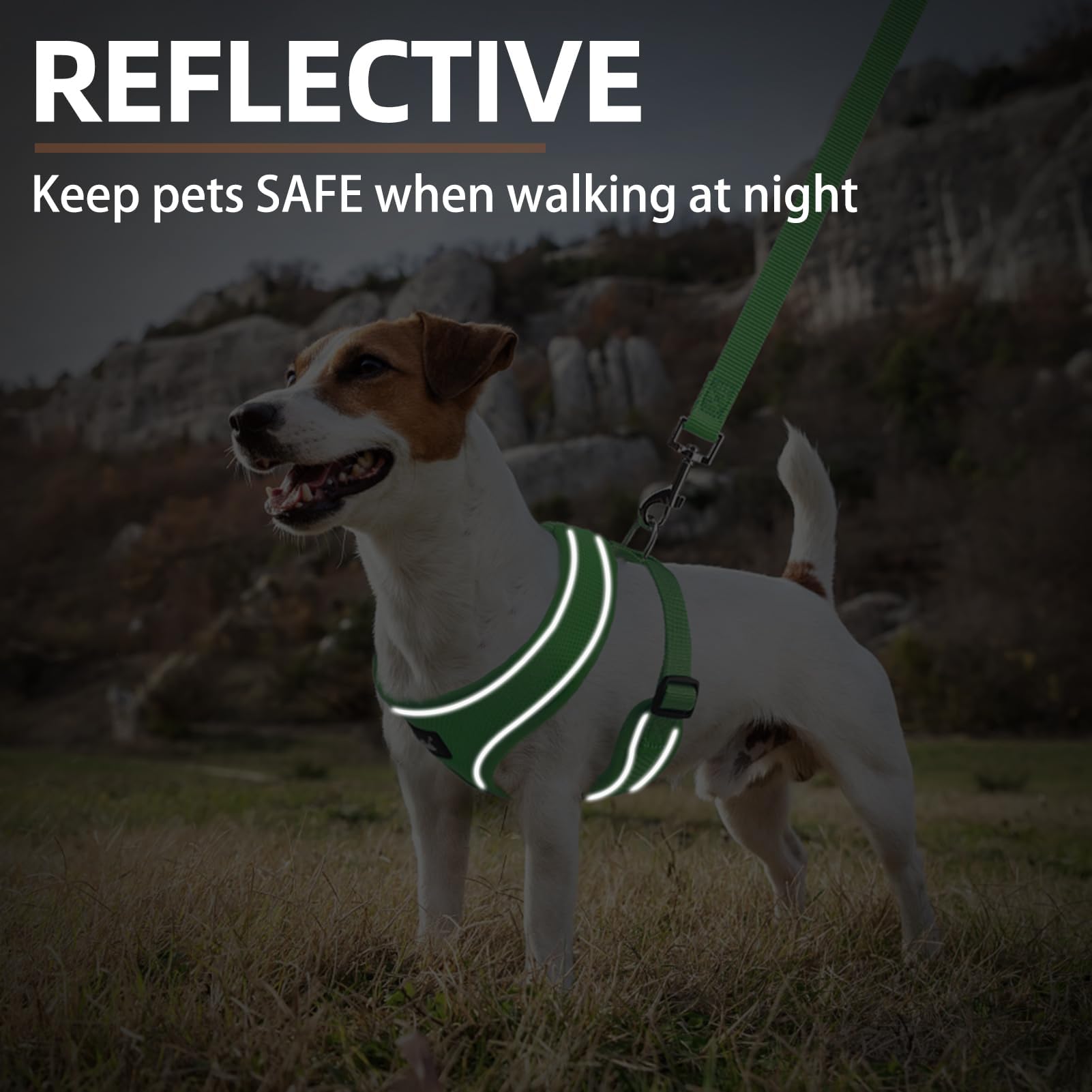 PUPTECK size-chart fit helps choose the right harness for four sizes.
