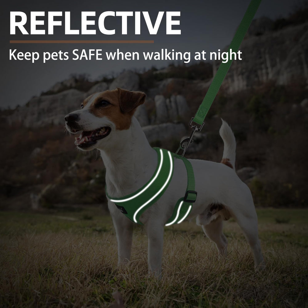 PUPTECK size-chart fit helps choose the right harness for four sizes.