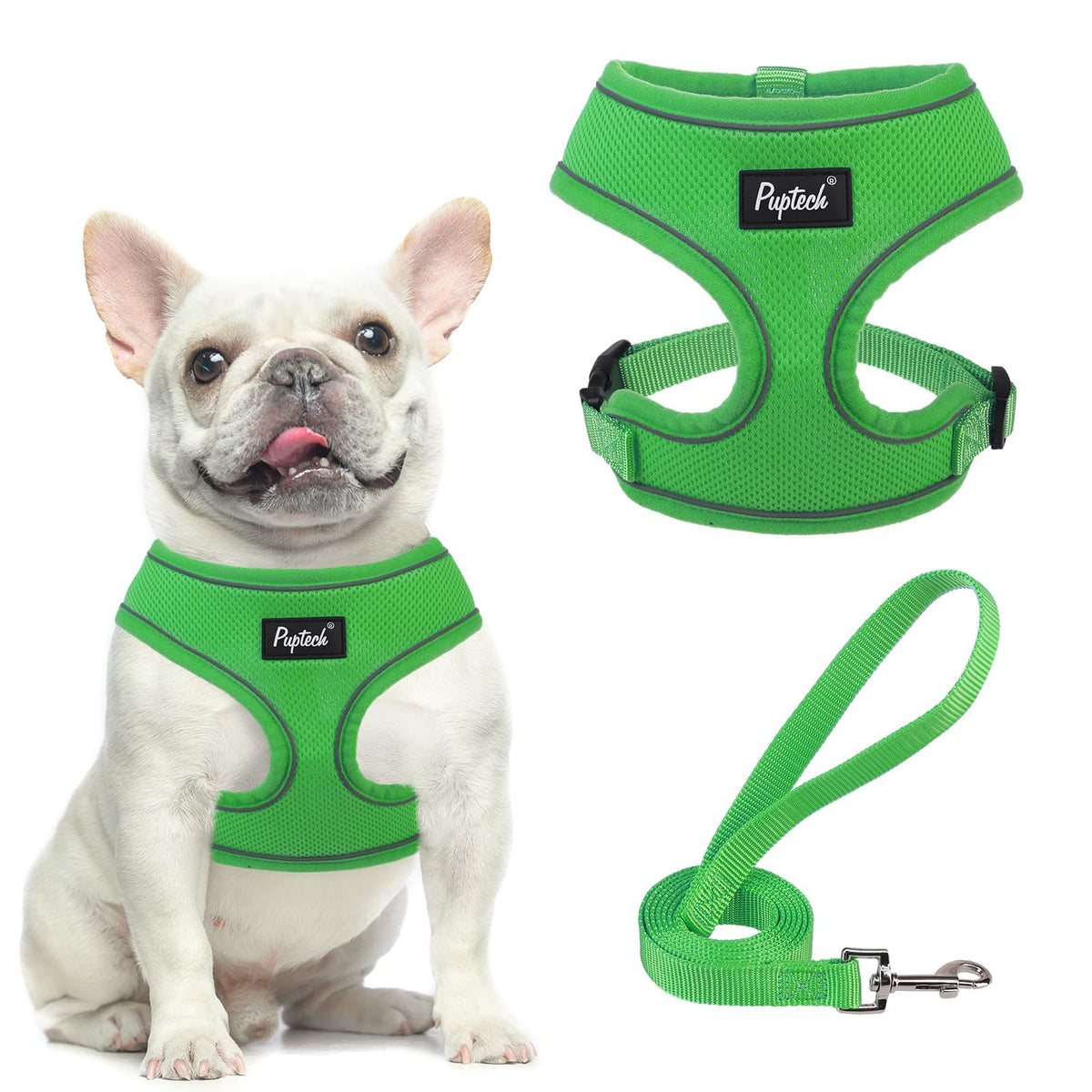 PUPTECK soft-mesh harness front view shows secure fit for daily walks.