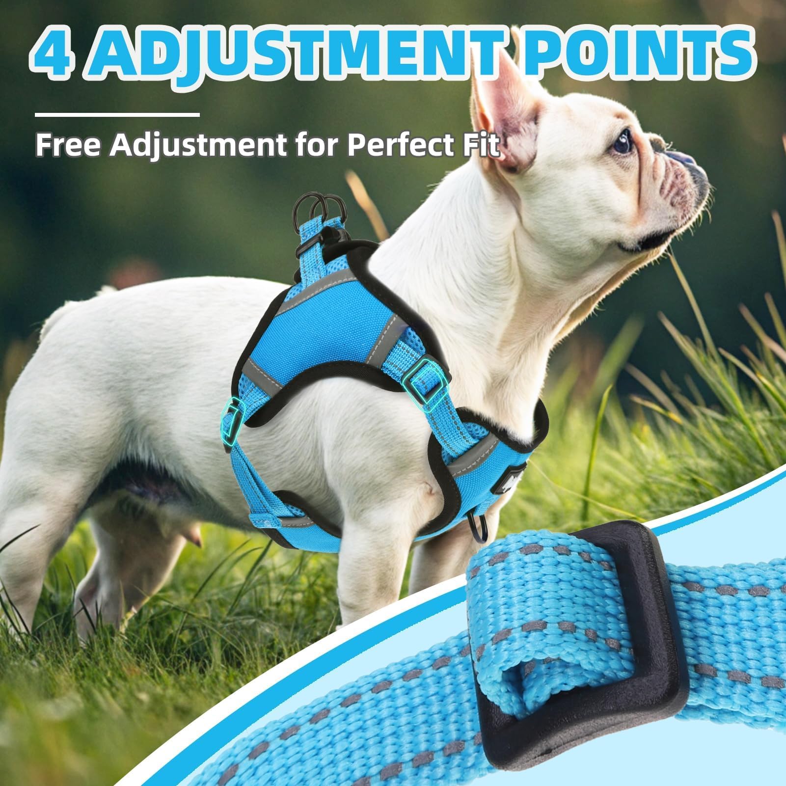 PUPTECK soft-padded material small harness provides comfortable, breathable wear.