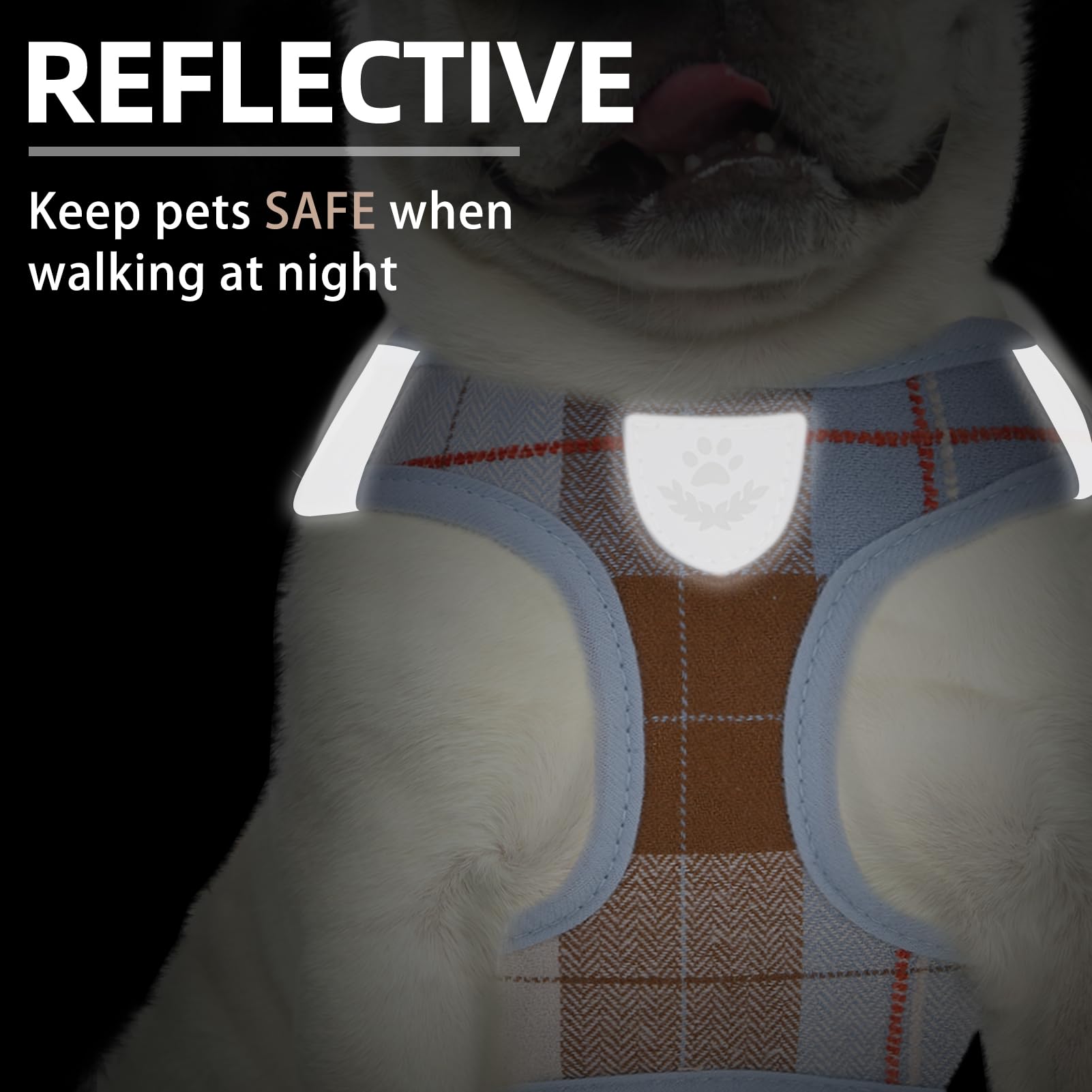 PUPTECK quick-release buckle blue-brown-xs close-up demonstrates secure-fit