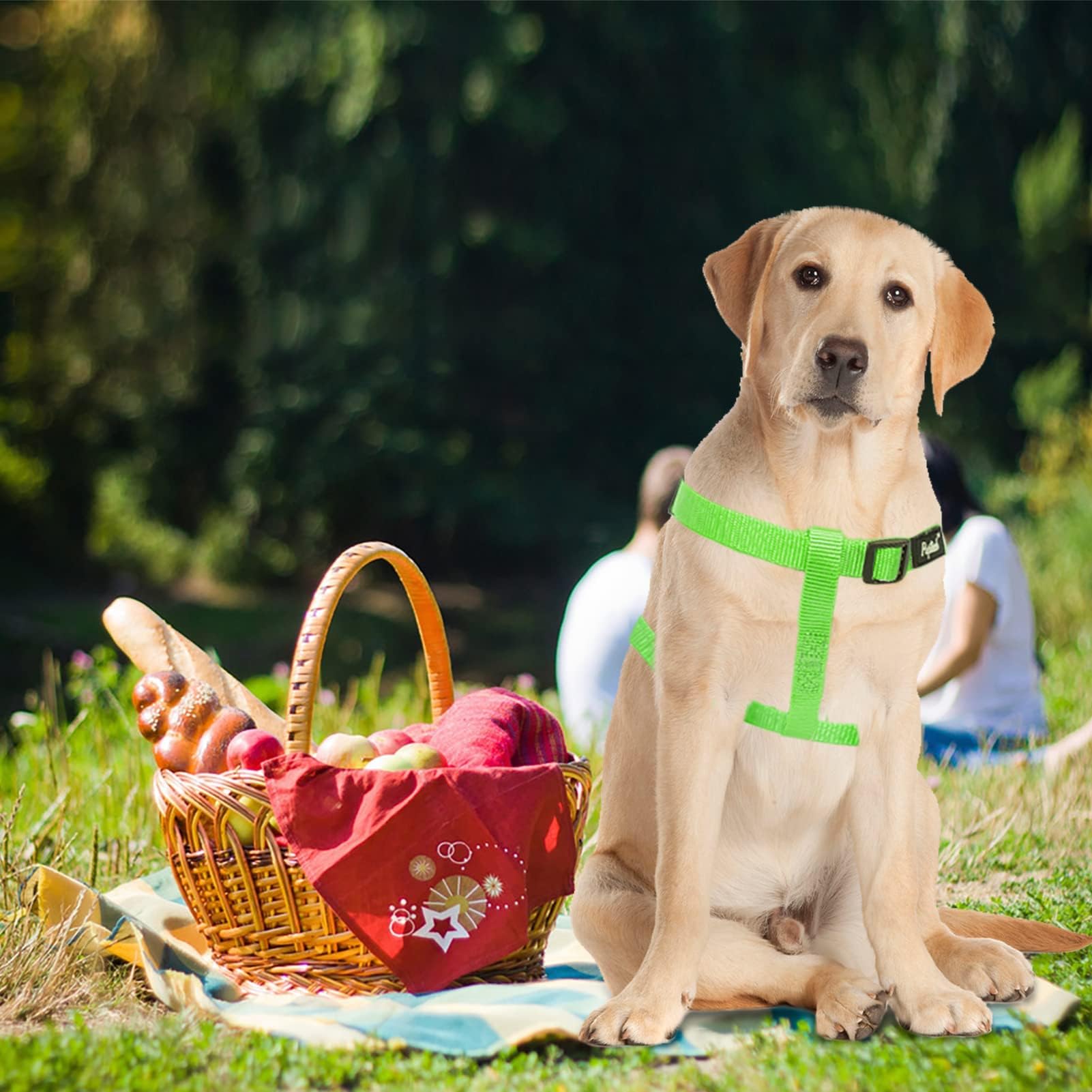 PUPTECK Step-in harness back view, quick wearing for busy mornings.