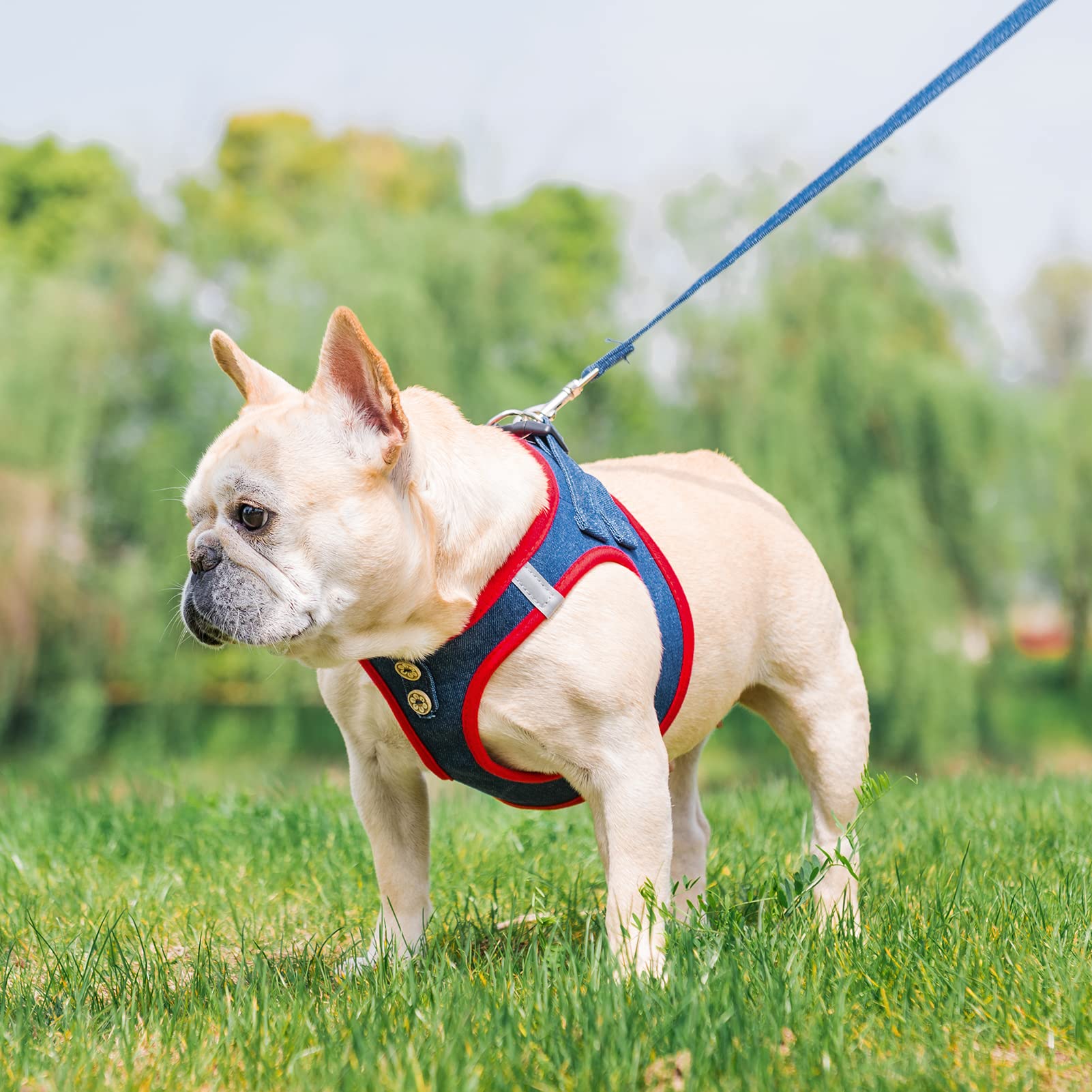 PUPTECK step-in harness design enables quick and easy on-off