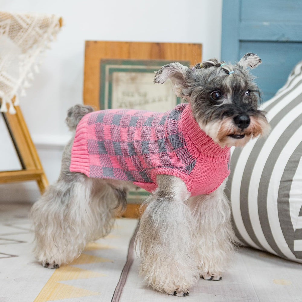 PUPTECK prenda fácil de poner, ideal para salidas diarias.