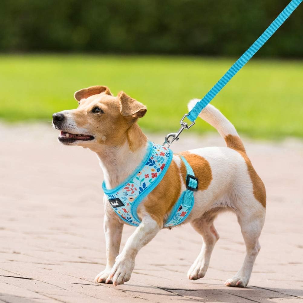 PUPTECK talla ajustable facilita encontrar ajuste perfecto para cada perro.