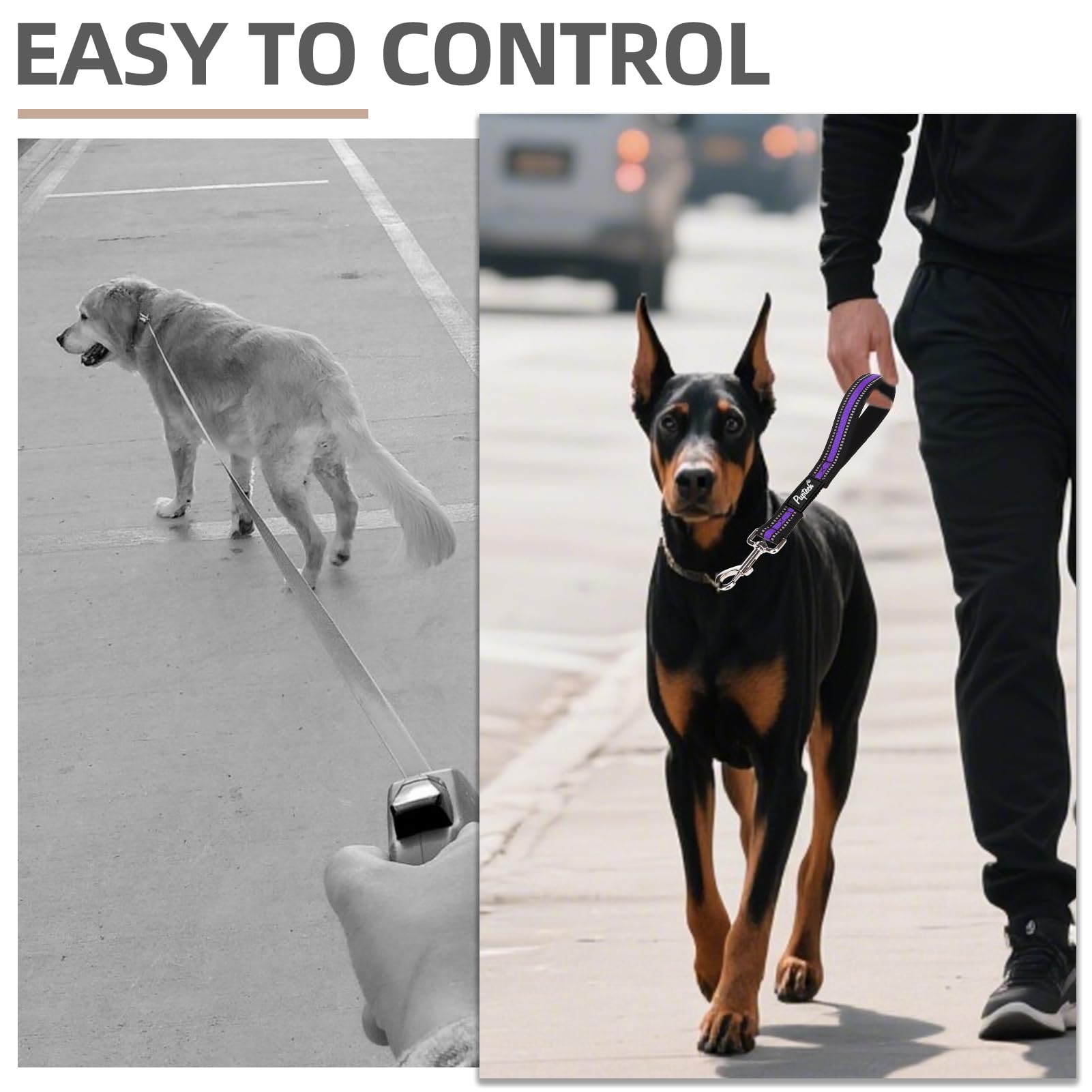 PUPTECK three-pack lengths 1ft, 1.5ft, 2.5ft for varied scenarios.
