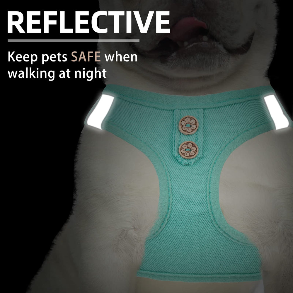 PUPTECK triple-security harness with magic strap and D-rings for control