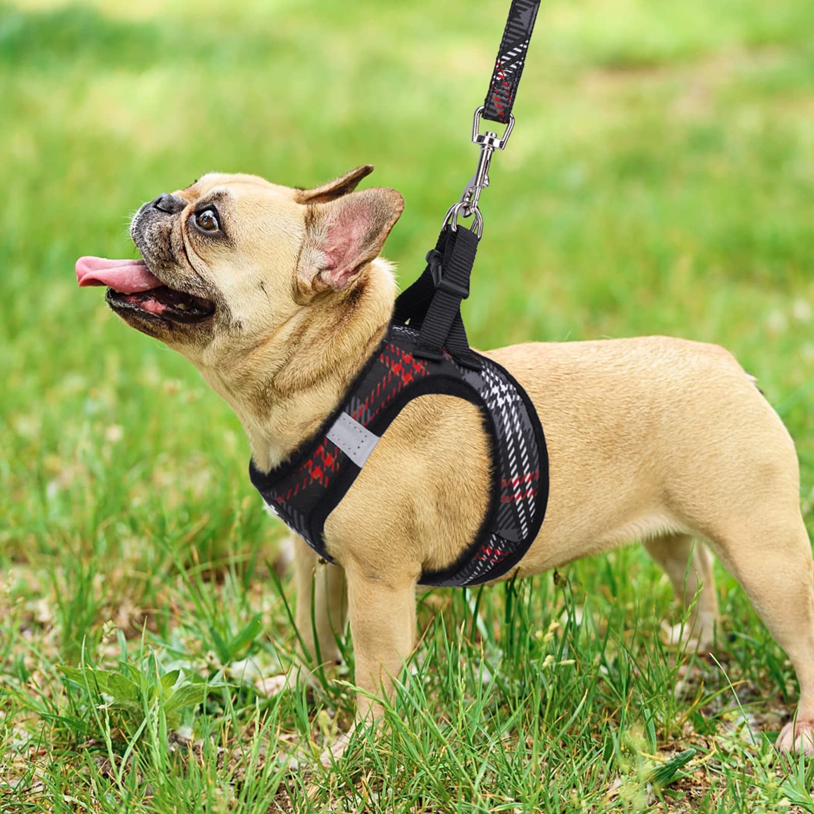 Dual D-rings on PUPTECK harness provide leash versatility and control