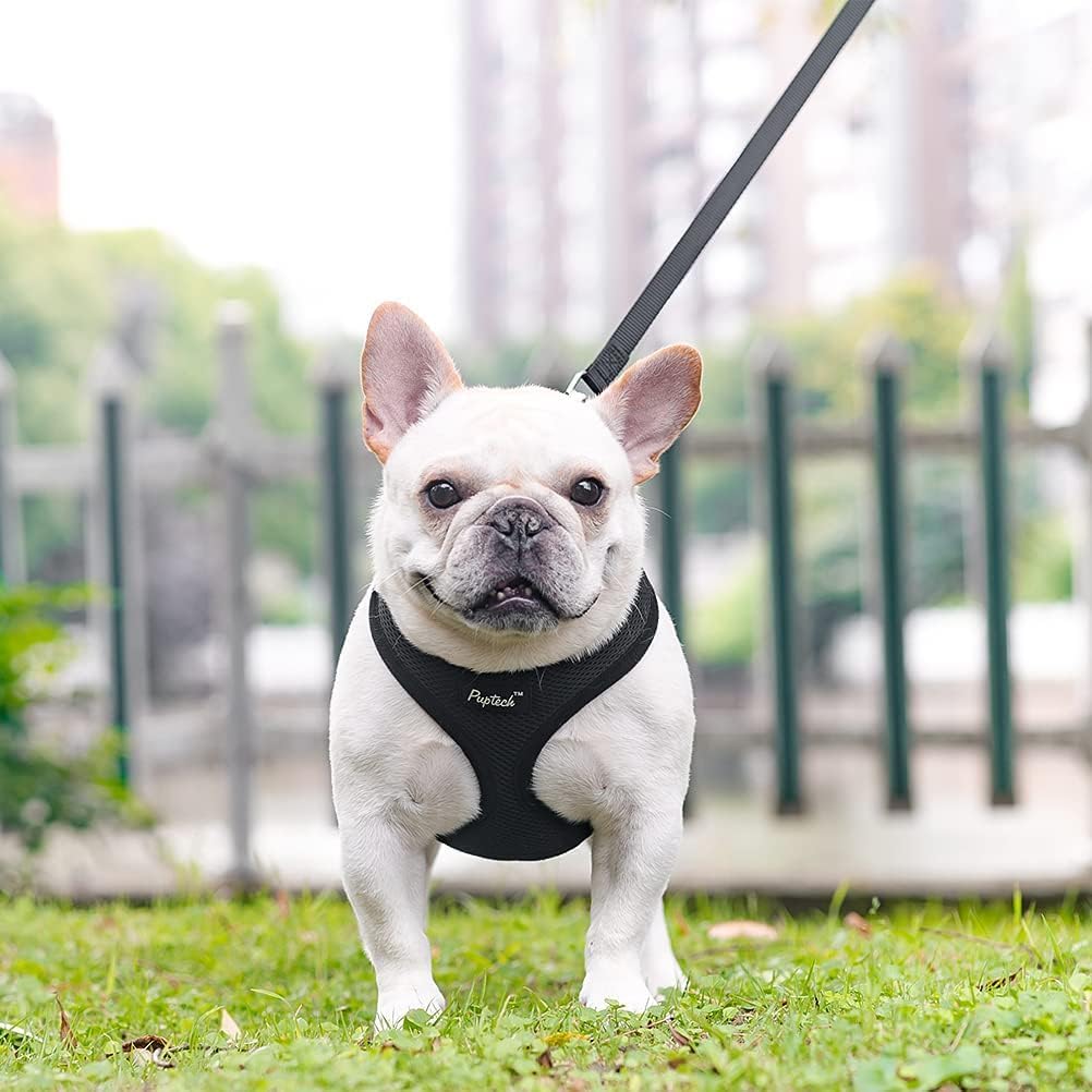 PUPTECK uso todo el año, fresco en verano y cálido en invierno.