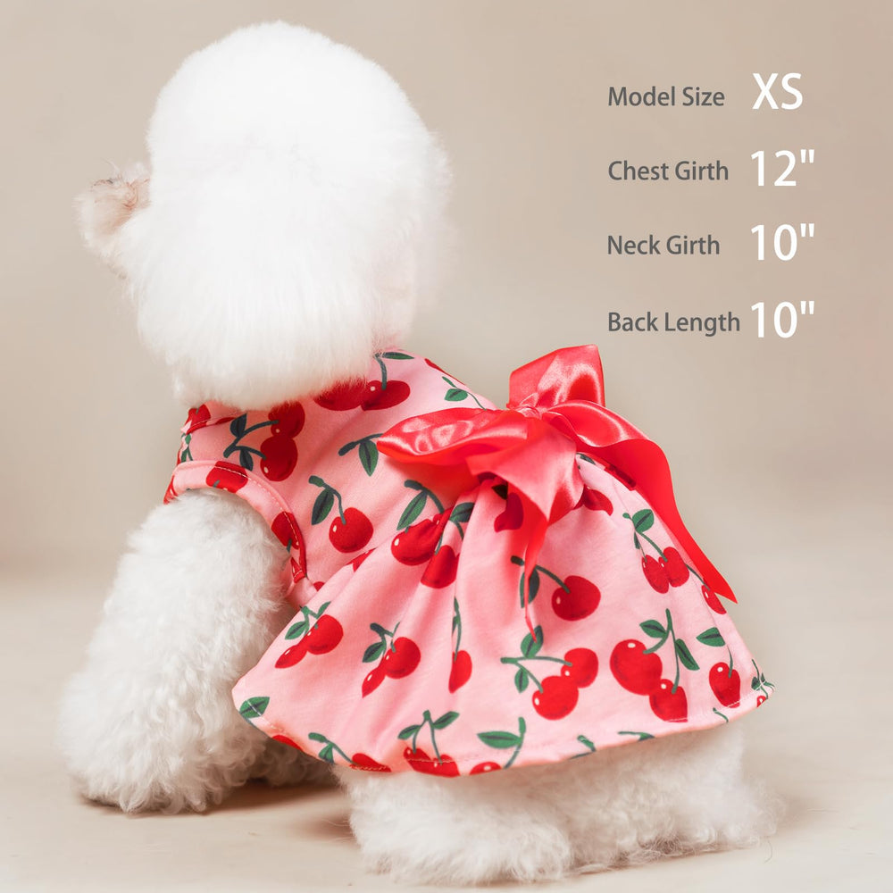 PUPTECK vestido para perro cumpleaños, diseño festivo