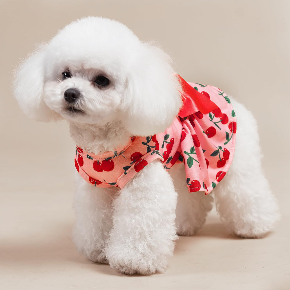 PUPTECK vestido para perro estilo damas americanas, look moderno.