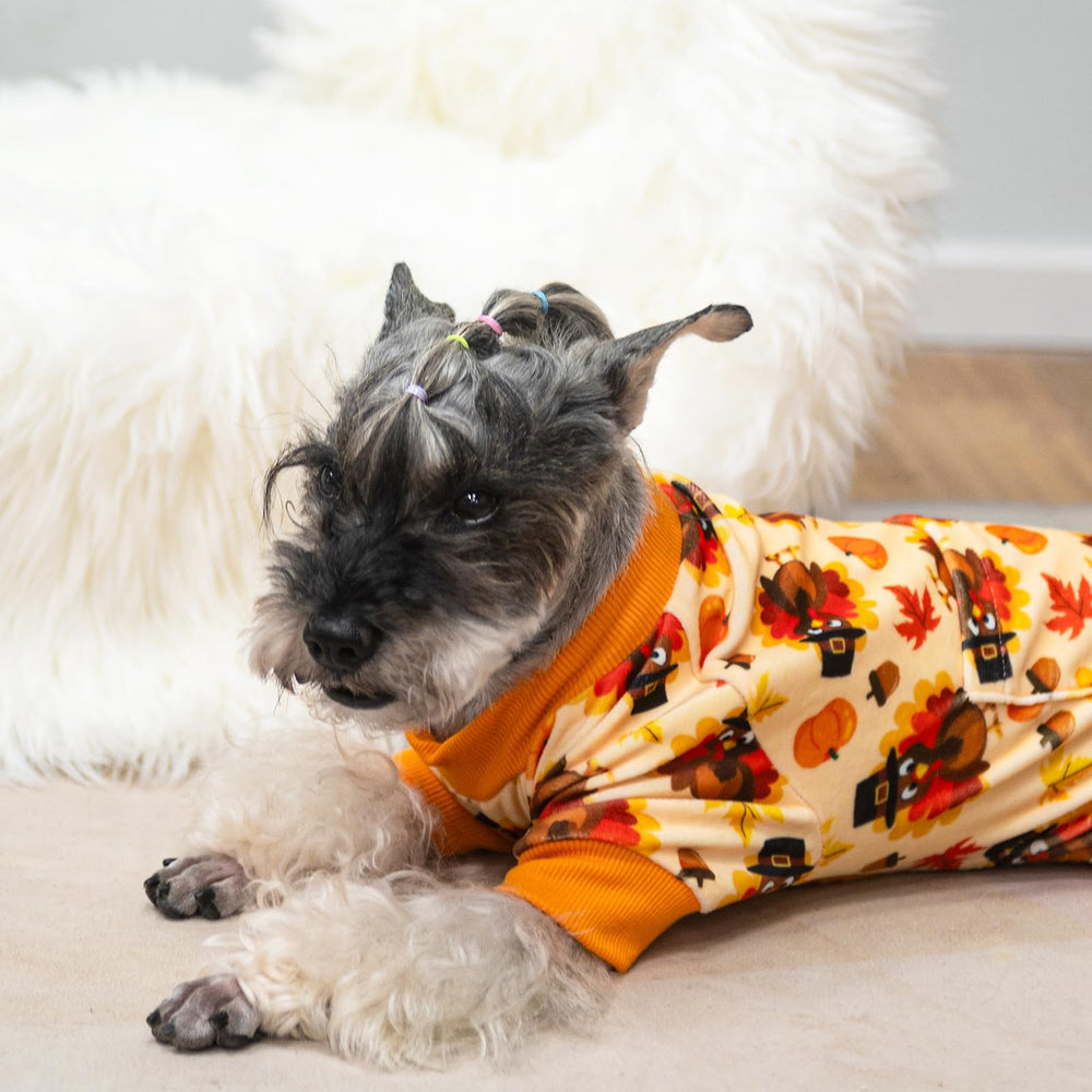 PUPTECK warm dog pajamas in use outdoors and indoors