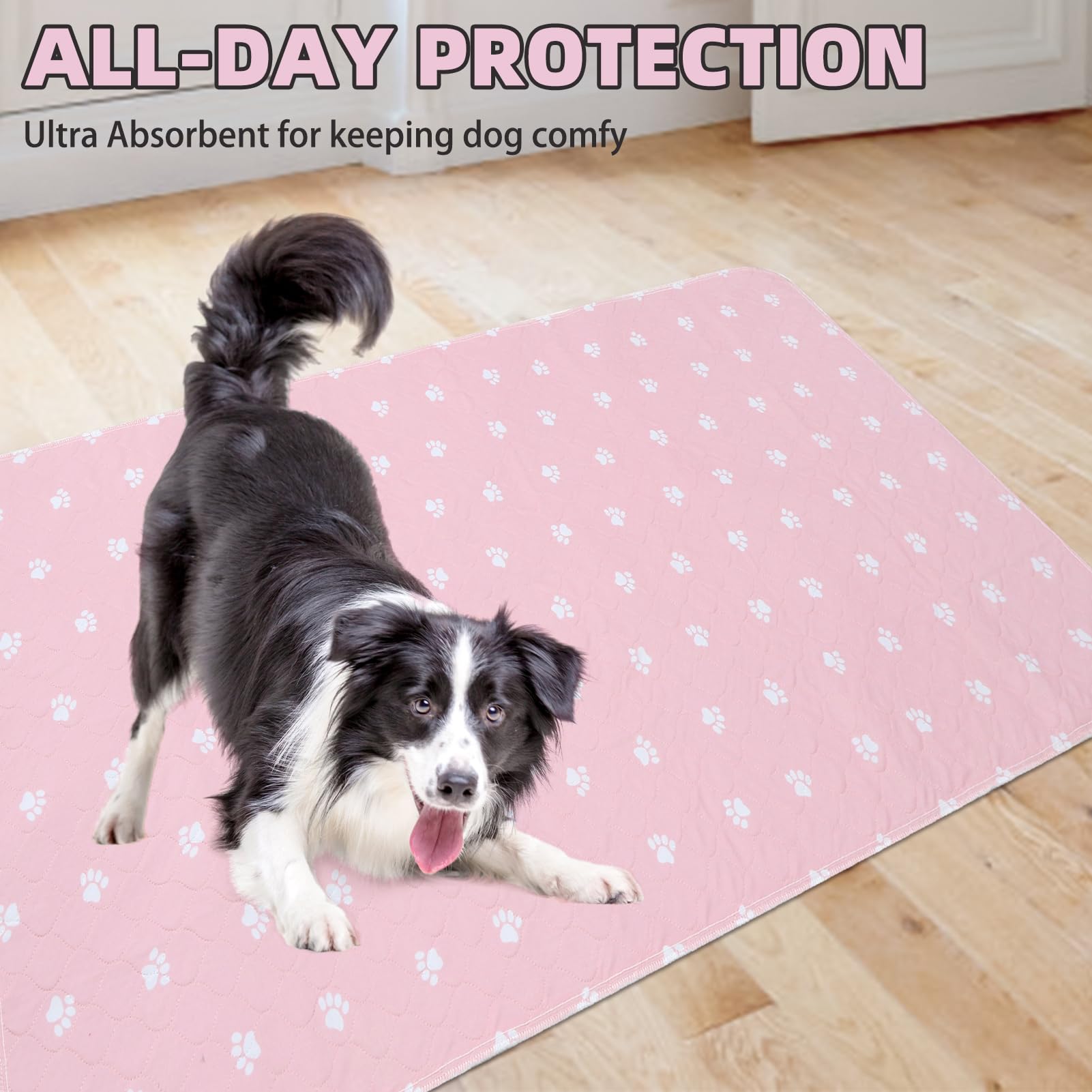 PUPTECK 2-pack provides a convenient setup for busy homes.
