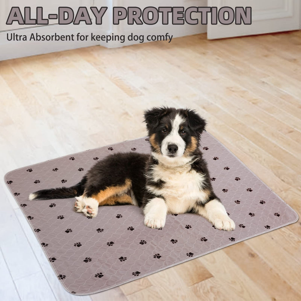 PUPTECK mat doubles as a pet feeding surface