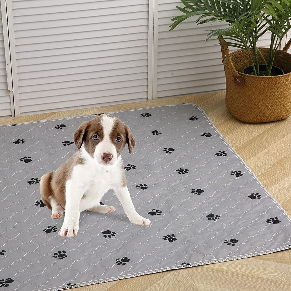 PUPTECK pad doubles as a feeding mat for bowls.