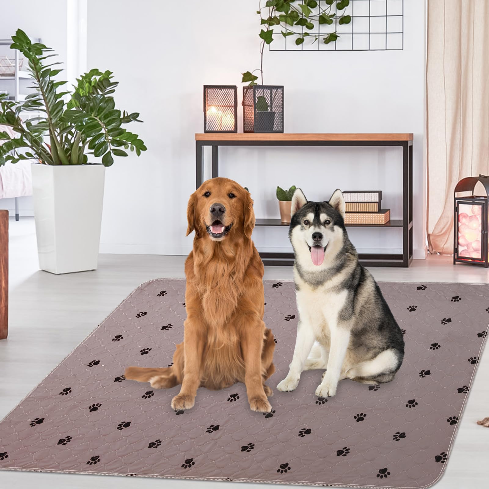 PUPTECK Washable Pee Pad 72x72 compact storage rolled for storage and quick setup.