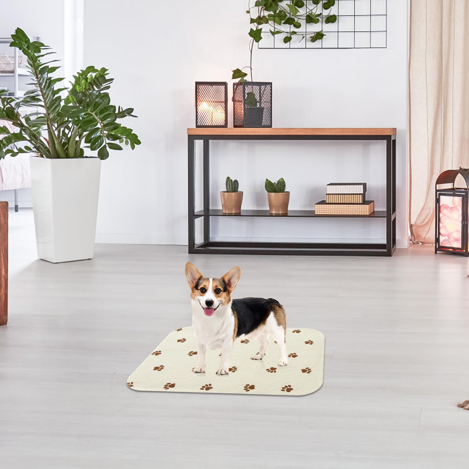 PUPTECK beige pee pad blends with home decor and keeps surfaces dry