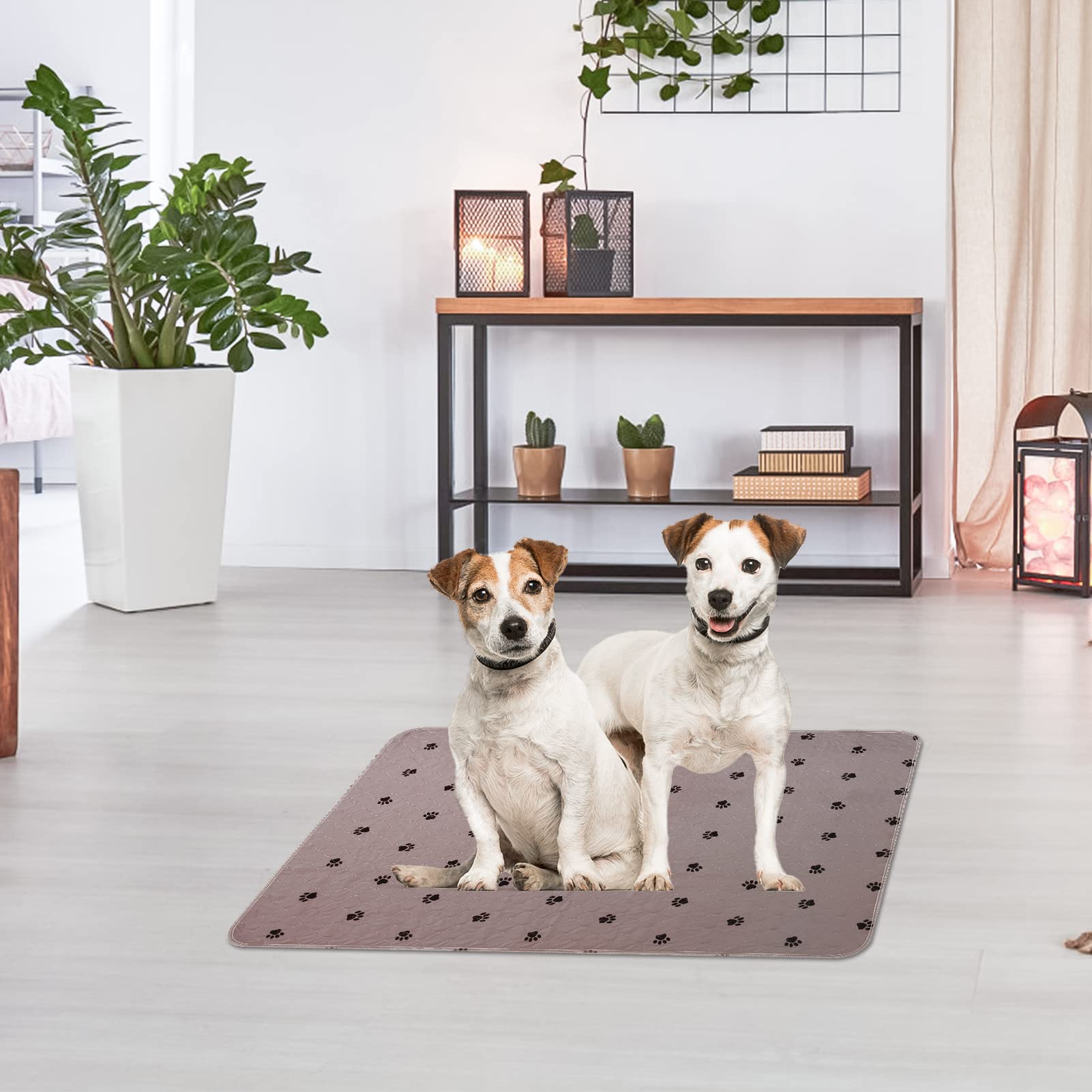 PUPTECK quality-guarantee showcases thoughtful design and material selection.