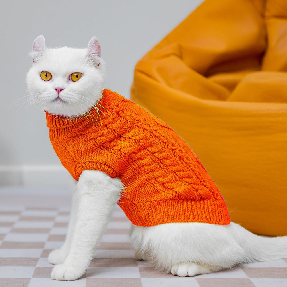 PUPTECK classic twisted pattern knit design elevates pet style in cold seasons