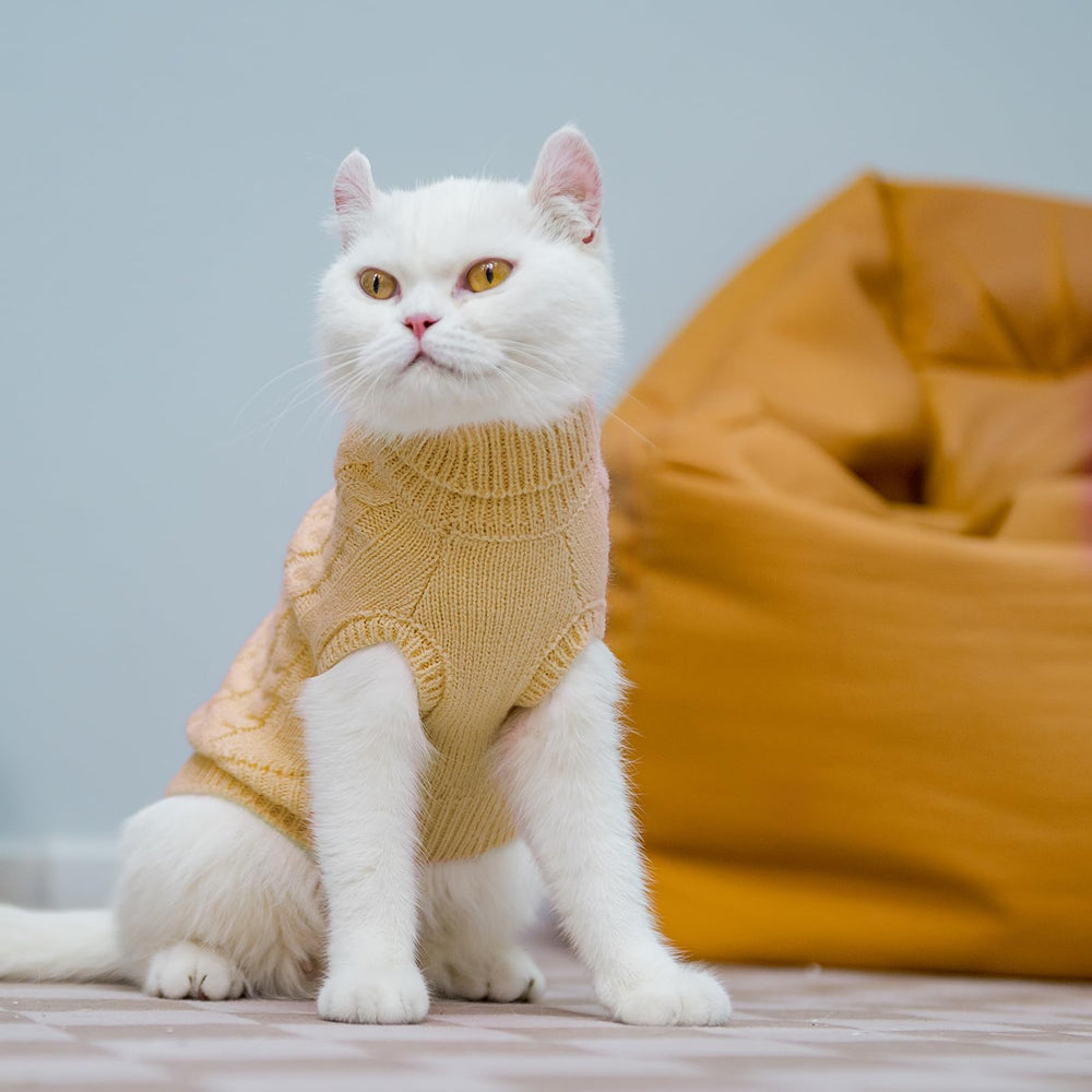 PUPTECK winter cat sweater coat indoor-outdoor wear beige knit suitable for chilly outings