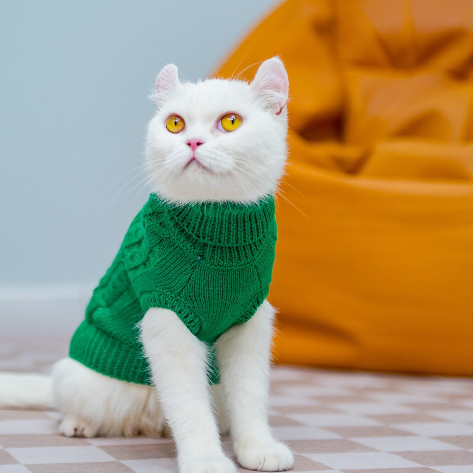 PUPTECK sweater worn by kitten emphasizing easy on off and secure fit.