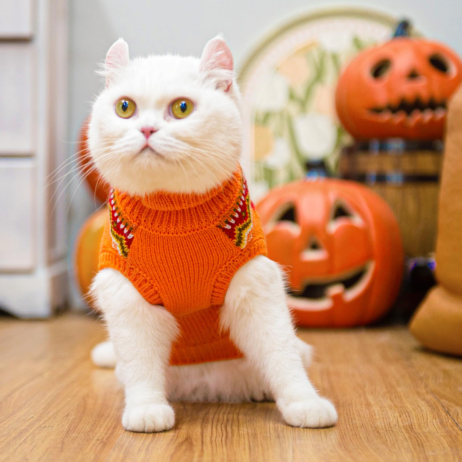 PUPTECK easy-on-off Maple Leaf Orange pullover for quick dressing