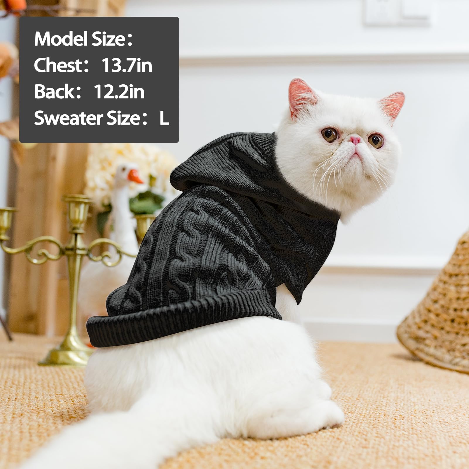 PUPTECK size chart image helps you choose the right fit.