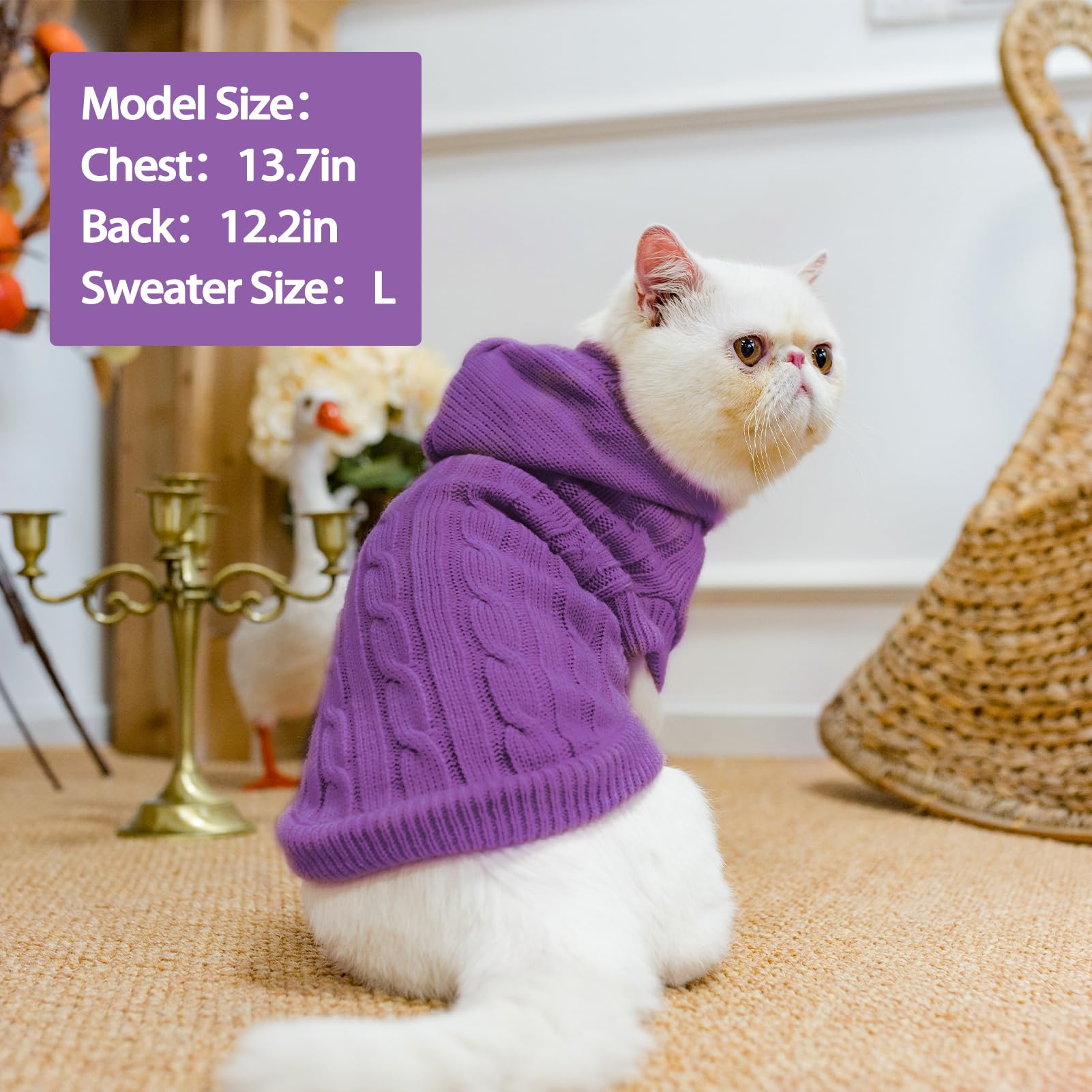 PUPTECK winter sweater purple color showcases vibrant, cozy style.