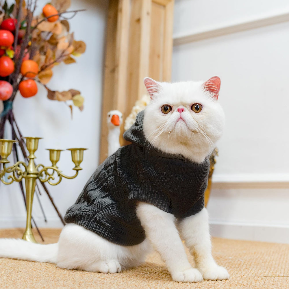PUPTECK worn-by-pet image illustrates comfortable day-to-day wear.