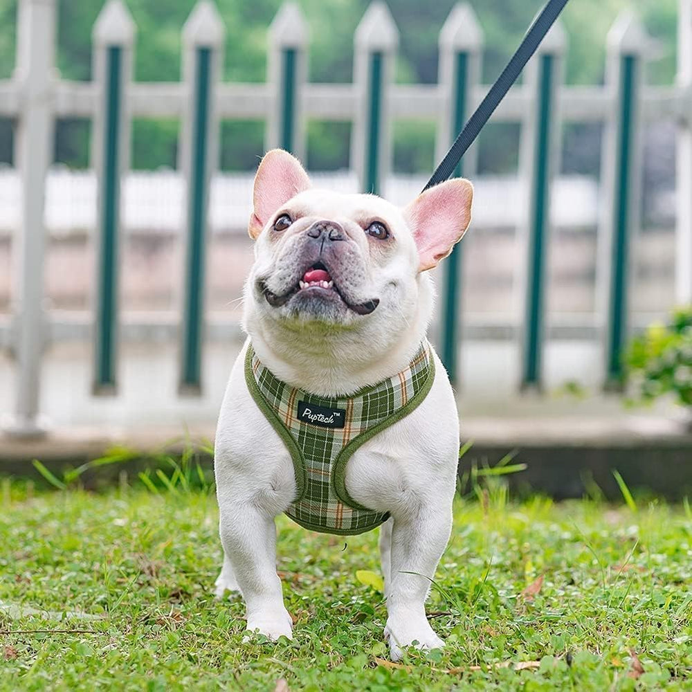 PUPTECK XS size harness with chart and fit guidance for small dogs