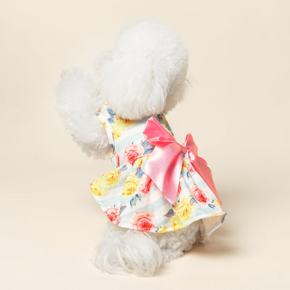 PUPTECK easy-on-off dress demonstrated for quick dressing