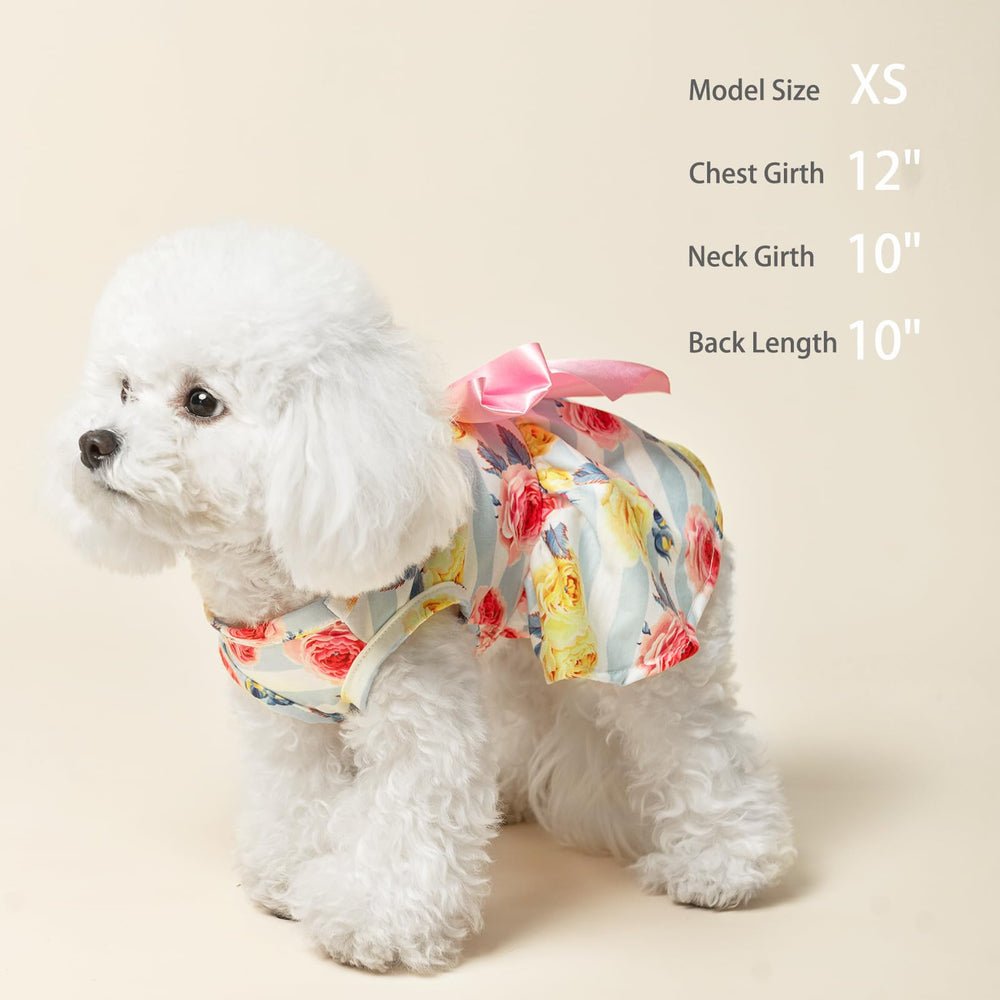 PUPTECK puppy photoshoot in floral dress for charming pictures