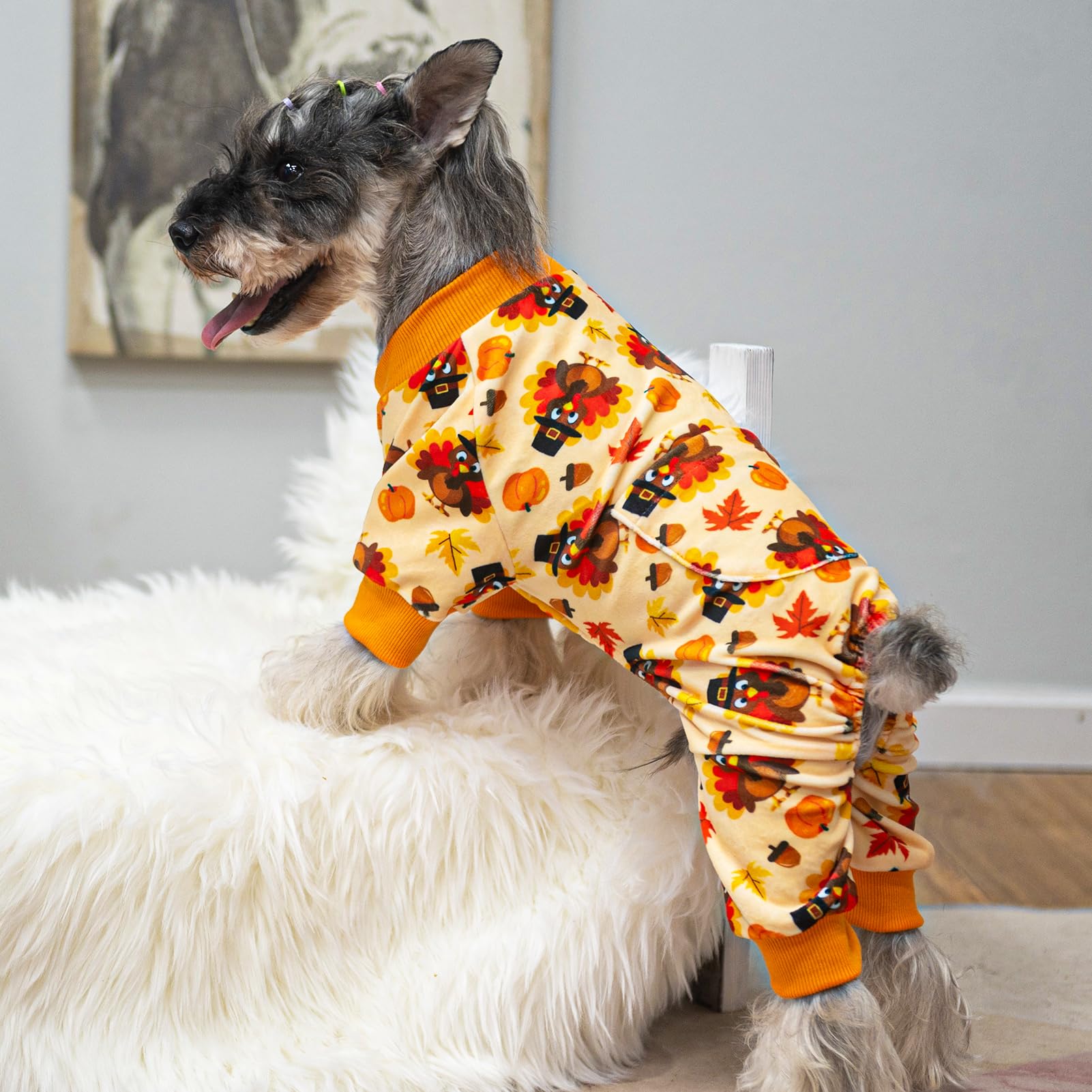 PUPTECK Turkey Orange M dog pajamas on a dog during play for comfortable wear.