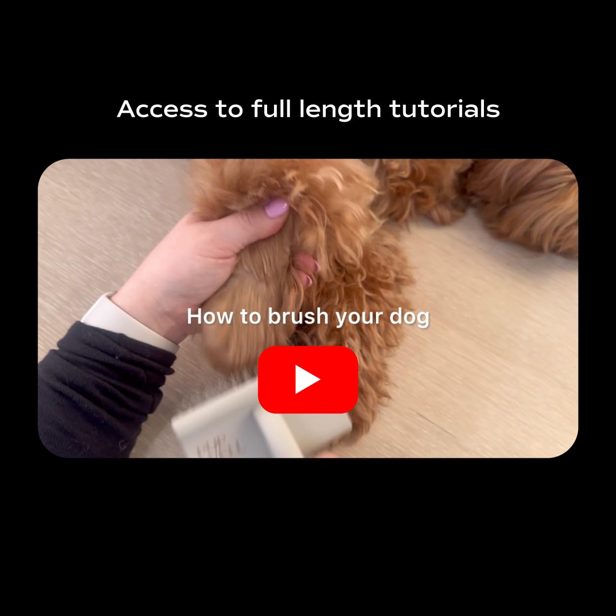 Pupwell Slicker Brush designed for Goldendoodles Labradoodles and Poodles.