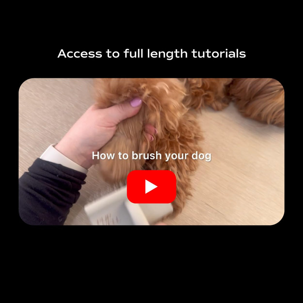Pupwell Slicker Brush designed for Goldendoodles Labradoodles and Poodles.