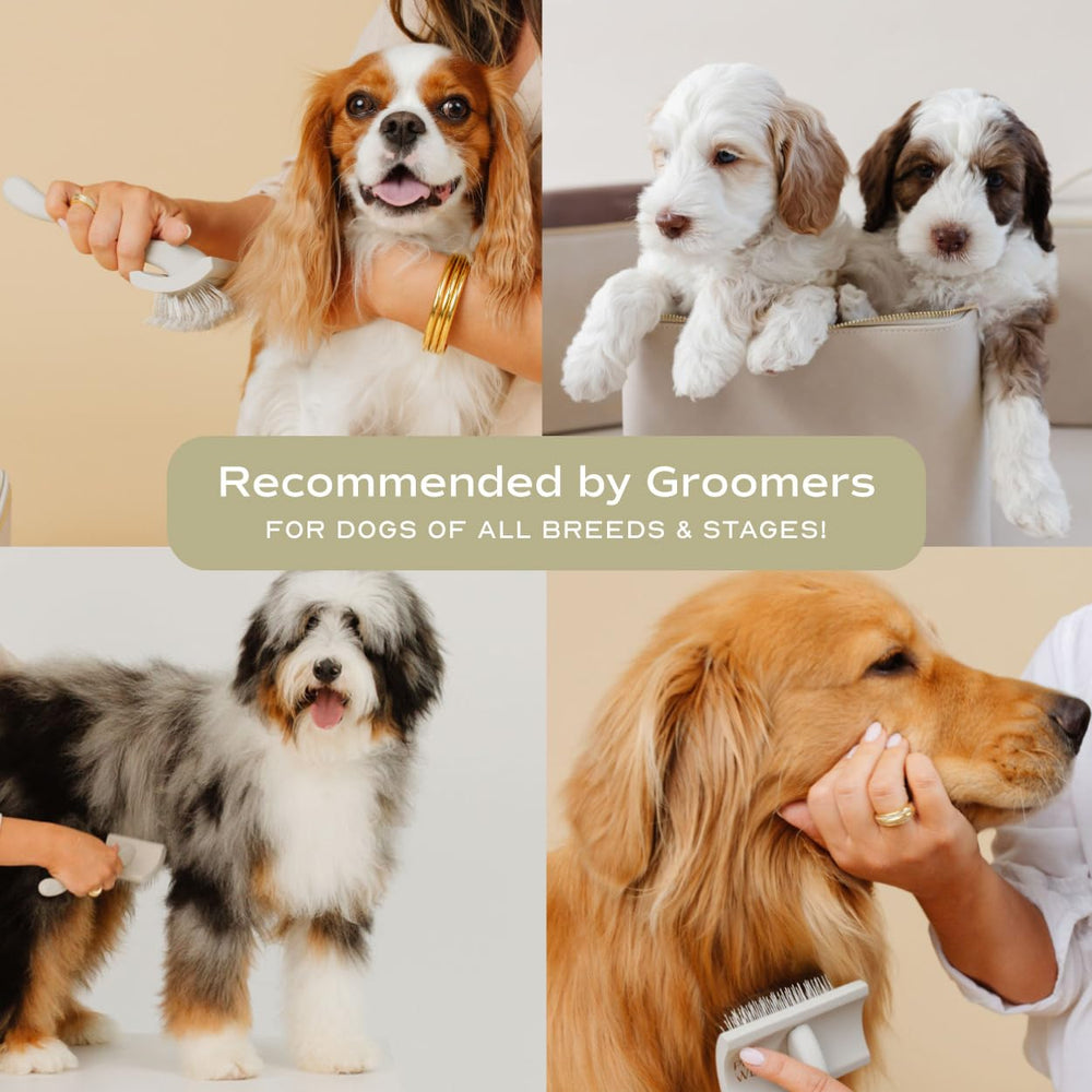 Pupwell Slicker Brush stainless steel pins penetrate knots for efficient detangling.