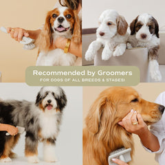 Pupwell Slicker Brush stainless steel pins penetrate knots for efficient detangling.