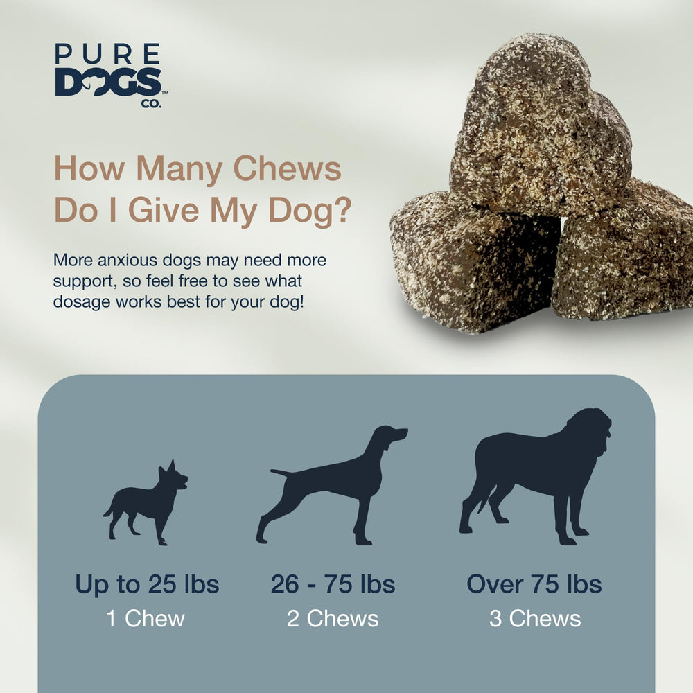 Pure Dogs Co calming chews dog enjoying treat relaxation after stress