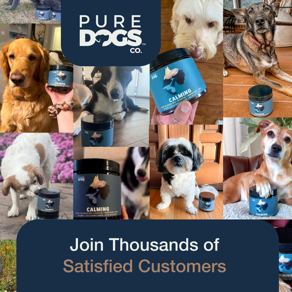 Pure Dogs Co calming chews gluten-free label assurance dog-safe
