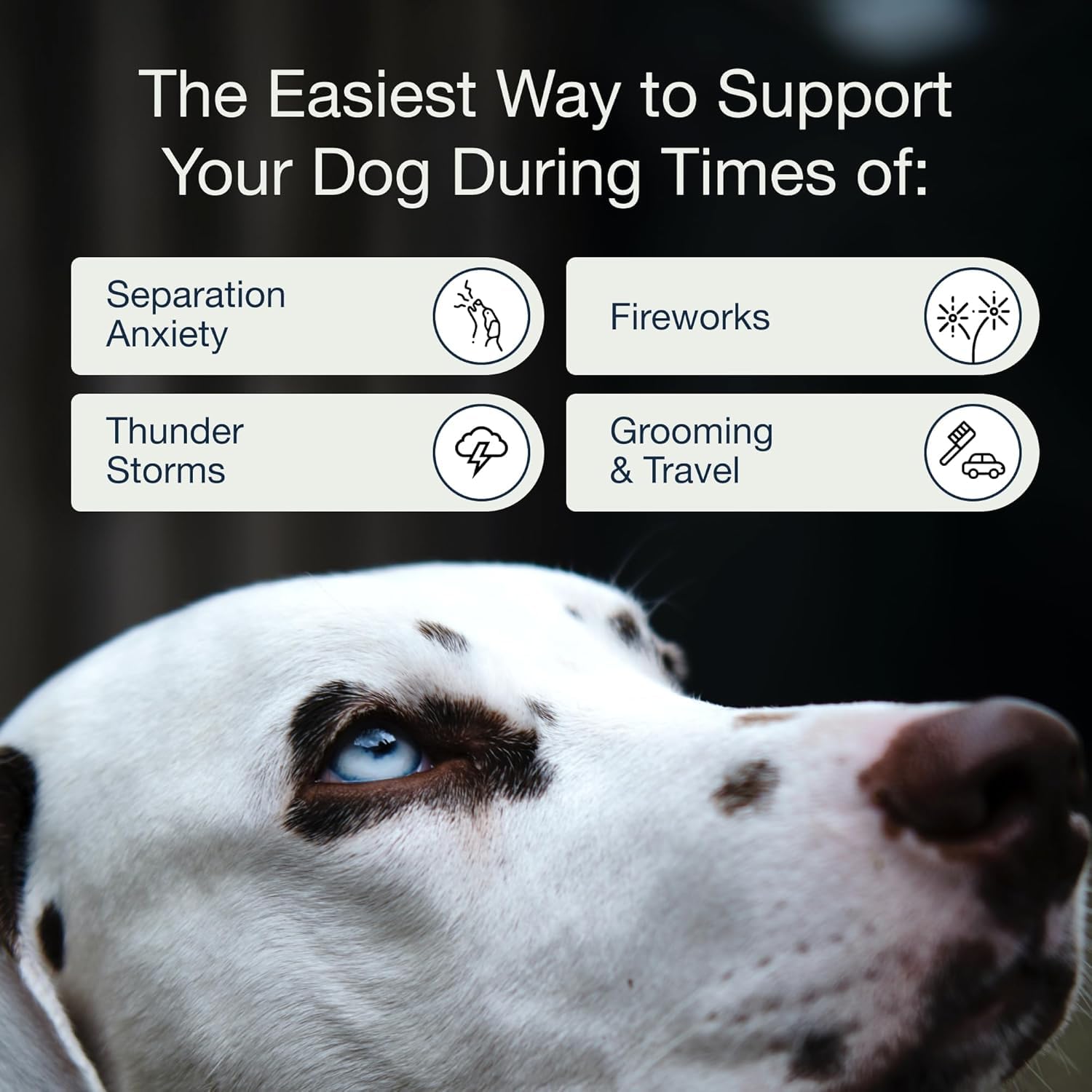 Pure Dogs Co calming chews ingredients chart display 13 active ingredients