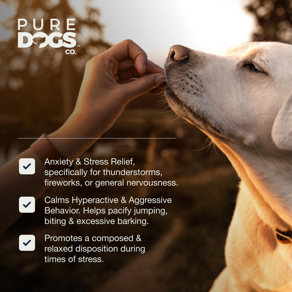 Pure Dogs Co calming chews treat-dispensing-scene showing training use