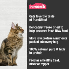 PureBites cat snack in bowl ready for a protein-rich reward.