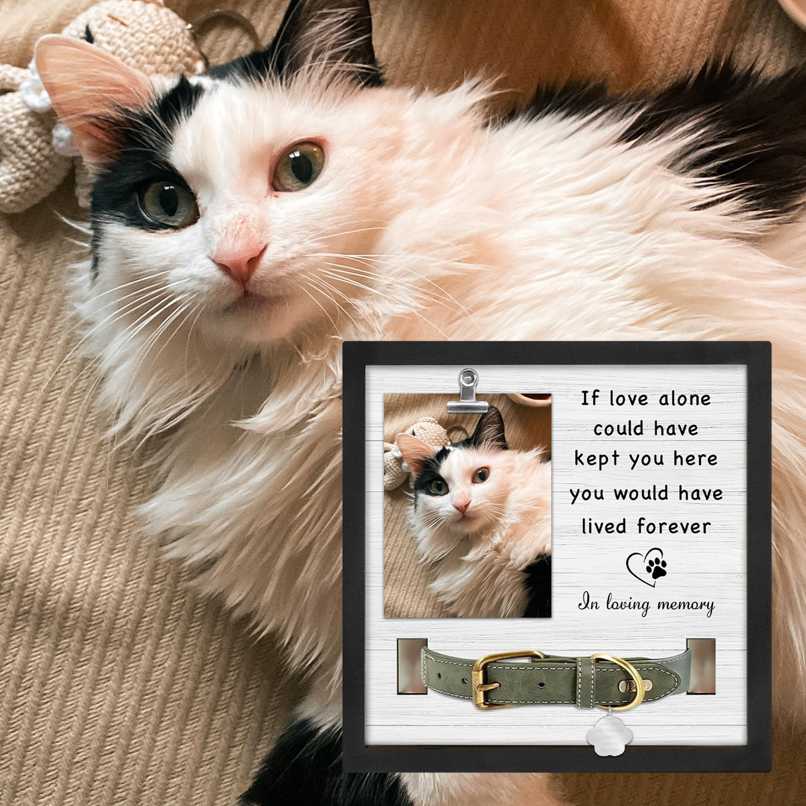 PUREFLY cat memorial frame with collar display aids grieving remembrance.