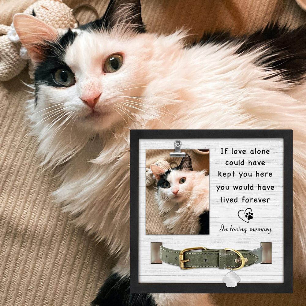 PUREFLY cat memorial frame with collar display aids grieving remembrance.