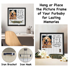 PureFly pet memorial frame capturing cat memory with paw-prints accent and warm home display.
