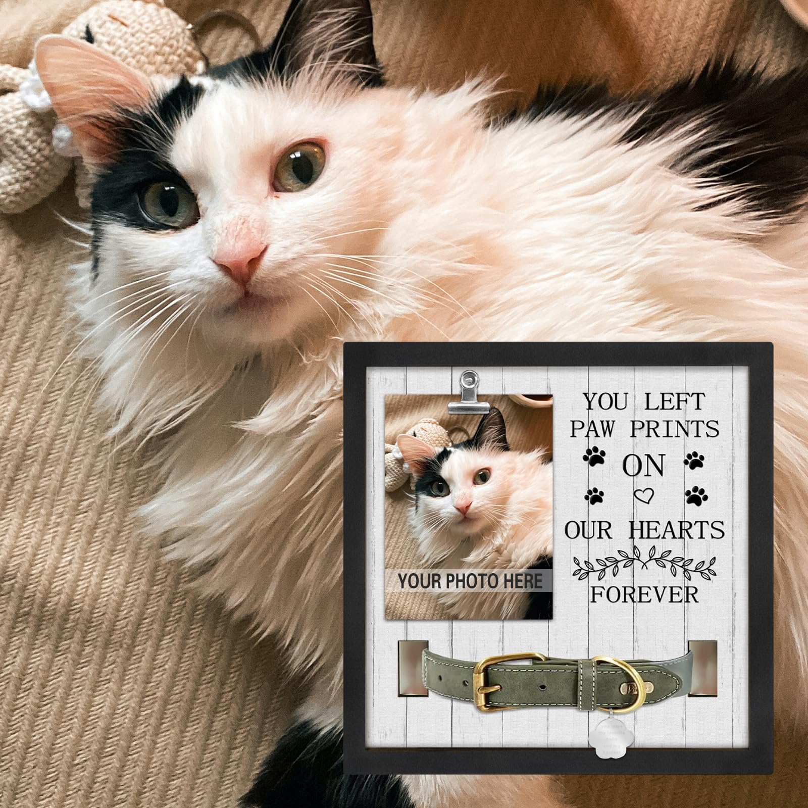 PureFly sympathy gift frame ready to showcase a pet's photo and message.