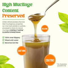 PureRootss gut-health mucilage layer visualization may ease irritation and bloating