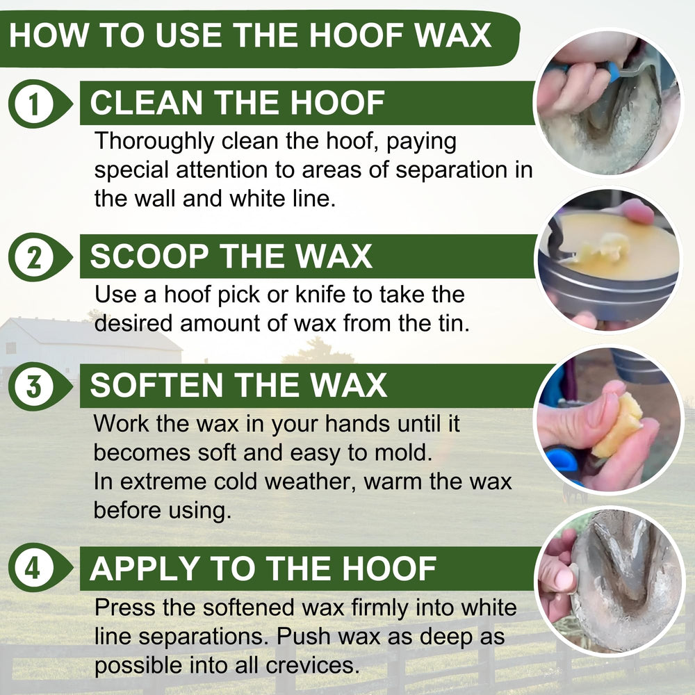 Protective coating on a hoof after shoeing with Pure Sole Hoof Wax.